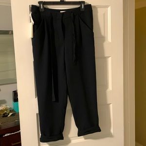 Aritzia Allant Pant